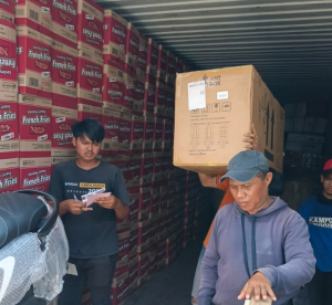 karlina ekspedisi surabaya papua